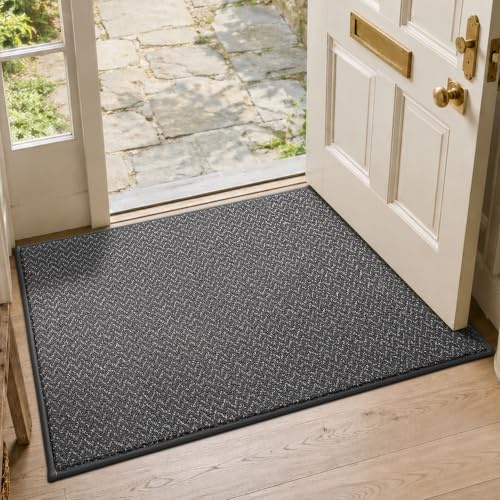 COSY HOMMER Doormat Indoor 80x120 cm, Dirt Trapper Door Mats Non-Slip, Low-Profile Indoor Mats, Washable Entrance Mat Floor Rugs for Front Back Door Entryway Hallway, Grey