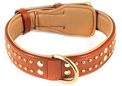 MONKIMAU Halsband für Hunde aus echt Leder mit Nieten gepolstert verstellbar L 41-50 cm