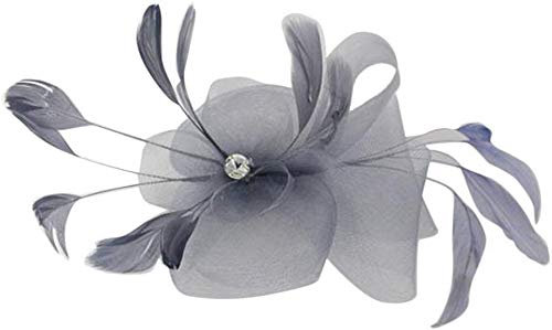 Inzopo Fascinator mit Feder, für Damen, ausgefallener Fascinator mit Clip, Haarschmuck, 6 Farben, Grau, 1 count (Pack of 1), Feder