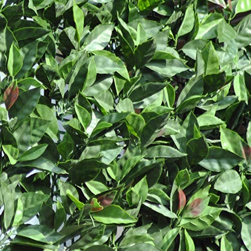 TENAX Divy 3D Plus Photinia 1,00x3 m Grün-Rot, Synthetische Hecke aus Photiniablättern auf Kunststoffgitter, Abschirmung von Gärten, Balkonen und Terrassen