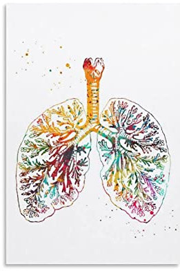 KIKIKI Medizinische und wissenschaftliche Kunst, anatomische Lungen, Poster, Wandkunst, Gemälde, Leinwanddrucke, Deko-Poster