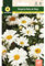 Mascarell Semillas, MARGARITA REINA DE MAYO, Semillas Flores Exterior para Decoración, Flores de Primavera