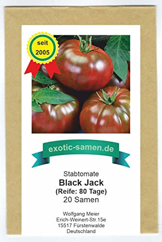 Black Jack F1 Hybrid – dunkle Stabtomate – resistent – sehr schmackhaft – 20 Samen