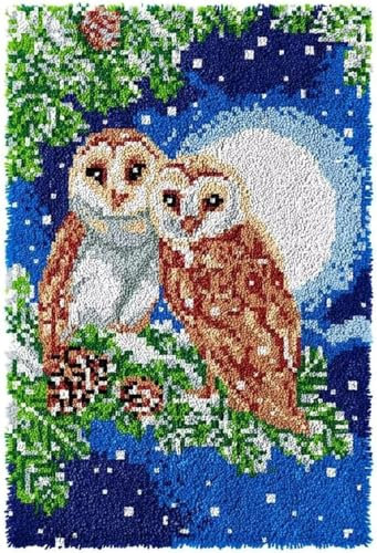 AMBATTERY Knitting Kits for Adults owl Animal Latch Hook Rug Kits for Adults Kids Printed Canvas Crochet Needlework Craft Rug Cushion Mat Tapestry 25x46in
