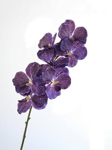 TVIVID Künstliche Vanda-Orchidee, fühlt sich echt an, künstliche Orchidee, Folral-Arrangement, realistische dekorative Vanda-Blume
