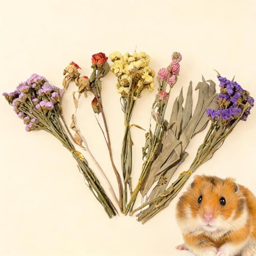Giwuence Blumen Hamster Einstreu Natürliche Rennmaus Käfig Dekoration