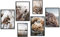 myestado - Premium Poster Set Bilder Wohnzimmer Modern Schlafzimmer Bild für Ihre Wand - ohne Bilderrahmen - 4 x DIN A3 & 2 x DIN A4 Bilder Set - ca. 30x42 & 21x30 » Blossom «