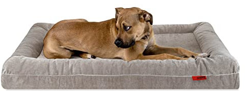 Balkis Hundebett Divan, Made in Germany, Steingrau, XL - 125x90 cm