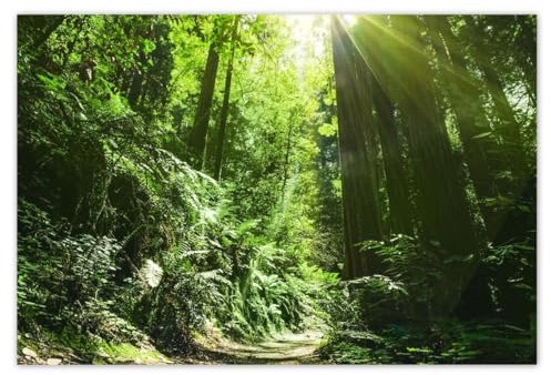 Tapete Vlies Premium Vlies 104x70cm Zauberwald No.H3640M_TV5BL