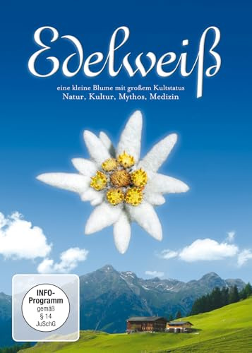 Edelweiß - Kleine Blume mit großem Kultstatus