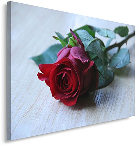 Feeby. Wandbild - 1 Teilig - 60x80 cm, Leinwand Bild Leinwandbilder Bilder Wandbilder Kunstdruck, ROSE, BLUME, ROT