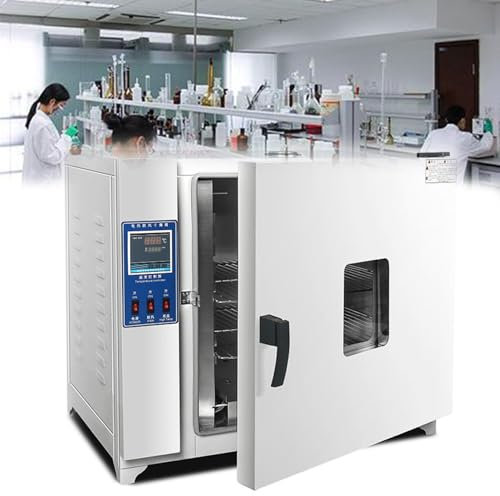 Four De Laboratoire à Air Pulsé De 600 Watts, Thermostat Numérique, Convection RT+5-300°C pour Planches Et Flacons