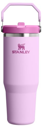 STANLEY Classic IceFlow Stainless Steel Tumbler with Straw, Vacuum Insulated Water Bottle for Home, Office or Car, Reusable Cup with Straw Leakproof