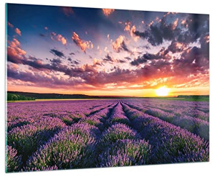 Bilder auf Glas 100x70cm Glasbild Lavendel Berge Feld Groß Wanddeko Bild im Glas Schlafzimmer Küche Deko Wandbilder Dekoration Wohnzimmer Modern Wall Decor Glasdruck Wand Kunstdruck Art GAA100x70-3816
