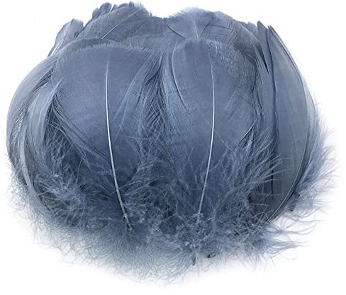 Uposao 200 Stück Natur Gänsefedern, 6-12cm Natürliche Naturfedern Gänsefedern zum Basteln DIY Deko Federn für DIY Traumfänger Ohrringe Karneval Fasching Kostüm Verzierungszubehör,Grau