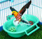 Grand bain à oiseaux pour cage à oiseaux, bol d'eau pour perruches, mangeoires pour oiseaux, mangeoires, bac de douche, baignoire, perruche, canari (vert)