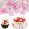 AHQiZFX 60 Stück Blumen Tortenaufsatz,Blumen Party Kuchen Deko,Blumen Tortendeko,Blumen Cupcake Topper,Kirschblüte Tortendeko,Oblatenpapier Blumen Deko,für Hochzeits Geburtstag Babyparty Partyzubehör