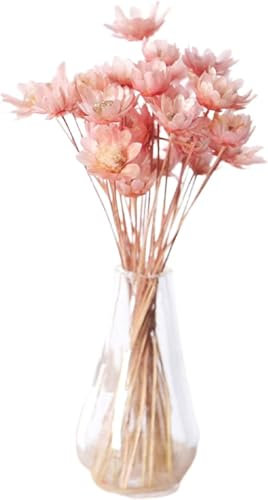 Mini vase à fleurs rose à l'échelle 1/12, accessoires de décoration pour maison de poupée, mini bol à fleurs, décoration élégante pour mini scène, vase miniature, décoration de maison de poupée