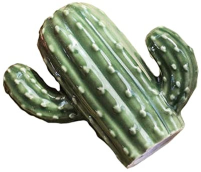 KICHOUSE 1pezzi Contenitore per Stuzzicadenti in Ceramica Decorazione Scatola di Stuzzicadenti Distributore di per Casa Barattolo di Forma di Cactus Artigianato Scatola di