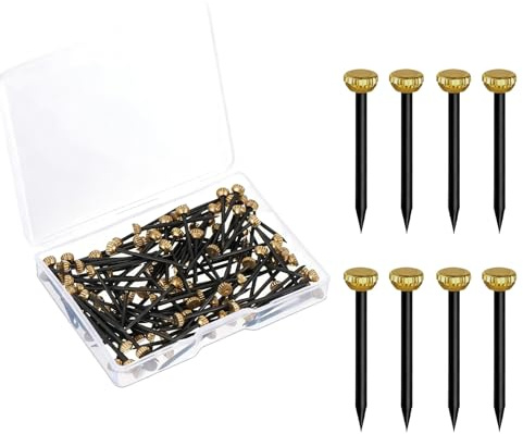 LifgWas 100 Pièces Clous à Tête Laiton Clous pour Béton 1.3x25mm avec Boîte de Rangement Tête Dorée et Acier Noir pour Cadres Photos et Tableaux Muraux