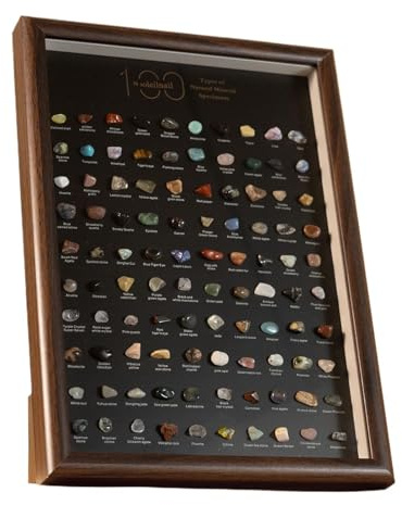Colección Rock - Kit De Colección De Piedras Preciosas De 23x32x3cm | Minerales De Cristales Naturales Con Estuche, Para Profesores De Ciencias Infantiles, Lo Que Lo Hace Adecuado Para Fines Educativo