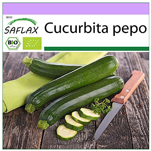 SAFLAX - Ecológico - Calabacín - Milán Negro - 6 semillas - Cucurbita pepo