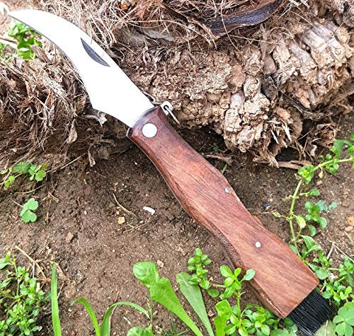Armeriaonline Coltello Funghi con Spazzola Coltello per Raccolta Funghi Porcini cardoncelli Tartufo con Lama in Acciaio Inox