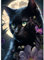 AIRDEA DIY Katze Diamond Painting Set Erwachsene Kinder, Blumen Diamant Painting Bilder 5D Tier Schwarze Katze Diamant Kunst Mondnacht Diamant Malerei Set Cross Stickerei Malerei Kits 30x40 cm