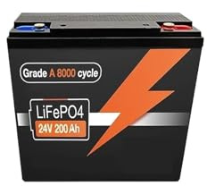 Batteria LiFePO4 Da 24 V 100 Ah 120 Ah 150 Ah 200 Ah, Batteria Ricaricabile BMS Integrata Da 200 A For Camper Con Inverter(24V LiFePO4 100Ah)