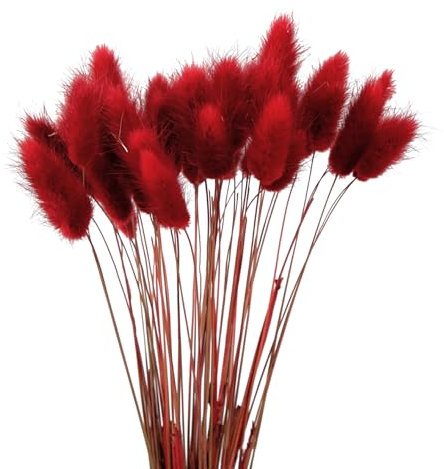 Wambere 120 Stück 40cm Natürliche Trockenblumen Deko Getrocknete Pampasgras Deko Verwelken Nie Trockenblumen Boho Deko Super Flauschig für Blumen Arrangements Heim Decor,Rot