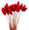 Wambere 120 Stück 40cm Natürliche Trockenblumen Deko Getrocknete Pampasgras Deko Verwelken Nie Trockenblumen Boho Deko Super Flauschig für Blumen Arrangements Heim Decor,Rot