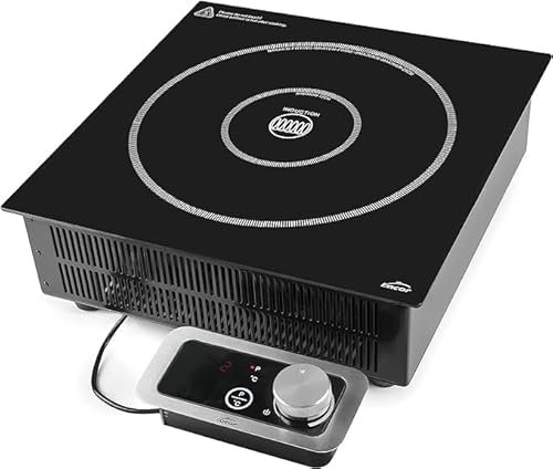 Suinga - Plaque à induction portable, cuisine portable professionnelle, système IPX3, 10 niveaux de puissance, convient pour diamètres entre Ø12 cm et Ø28 cm, 3500 W, acier inoxydable (Pro, noir)