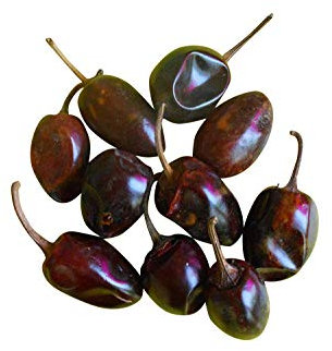 100 Samen der echten -Kalamata Oliven- -Essbare Oliven- *Griechischer Olivenbaum*