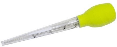 Fackelmann 4105350 Bratenspritze aus Silikon/Edelstahl, Anisgrün