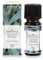 pajoma® Duftöl 10 ml, Eukalyptus | 100% Naturrein Ätherisches Öl für Aromatherapie, Duftlampe, Aroma Diffuser, Massage, Naturkosmetik | Premium Qualität