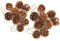 Colgante de Cono de Pino,18 Piezas de Adorno de Conos de Pino de Navidad,Cono de Pino Natural con Manualidades Colgantes de Cuerda para la decoración Colgante de árbol de Navidad(Dorado)