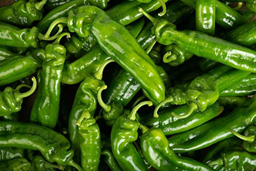 50 Graines de Poivron Corne de Bœuf - légumes jardins potager - Semences Paysannes