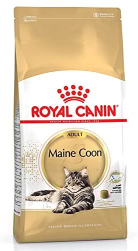 Royal Canin Katzenfutter Maine Coon 31, 4 kg