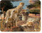 3D LiveLife Magnet - Geparden Klan von Deluxebase. Linsenförmige 3D Große Katze Kühlschrankmagnet. Dekoration für Kinder und Erwachsene mit Kunstwerk lizenziert von bekannt Künstler, David Penfound