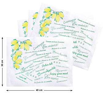 GIORDANO Cart 500 TOVAGLIETTE Americane 30x40 Tovagliette Usa e Getta in Carta Monouso Sottopiatti Monouso in Carta Bianca Rettangolari Goffrata Tovagliette Fantasia Decorata
