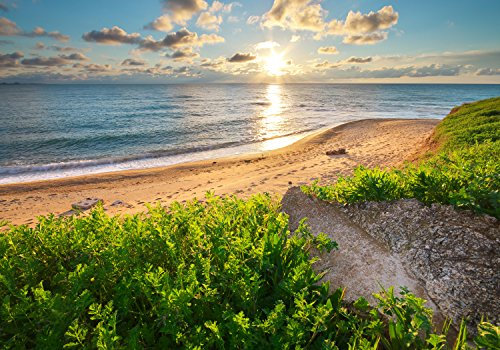 wandmotiv24 Fototapete Himmel, Meer und grünes Gras, 400 x 280 cm - selbstklebende Strukturtapete, Wanddeko, Wandbild, Wandtapete, Sonne, Romantisch, Urlaub M0922