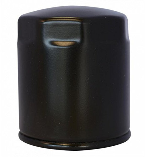 Ama Filtro Gasolio per Trattori Lombardini – Ricambio Adattabile Riferimento 2175.045, Peso 130 g, Made in Italy
