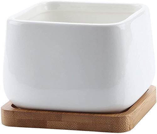 TXXM Maceta de cerámica blanca cuadrada de 8 cm, maceta de cactus, 4 unidades