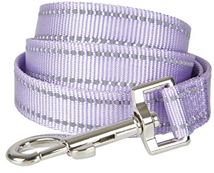 Petiry Reflektierende Nylon-Leine mit gepolstertem Griff für kleine, mittelgroße und große Hunde (Länge 120 cm, Lila)