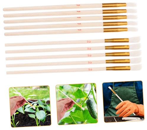 Yardwe 20st Künstliche Kreide Manuelles Bestäubungsgerät Handbestäubungswerkzeuge Gemüsebestäuberbürste Gartenbestäuber Pinselbestäubungswerkzeuge Bestäuberwerkzeug Stempel Obst Holz