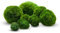 10+1 Stk. 2-4 cm Mooskugeln aquarium Cladophora aegagropila linneiae moos aquariumpflanzen wasserpflanzen deko pflanzen echt marimo moosbälle aquarium marimo moosball