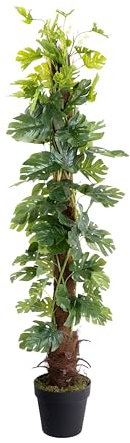 Blooming Artificial Faux Monstera Minima 140cm House Plant in Pot, Indoor Use Green Tropical Exotic Home Decor