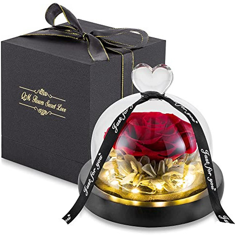 Glasseam Infinity Rosen Geschenke für Freundin, Rot Ewige Rose im Glas mit Licht, Konservierte Rose Blumen, Haltbare Rose für Valentinstag Weihnachten Hochzeitstag Frauen Geschenk