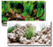 Amtra Deko Fotorückwand Wonder beidseitig bedruckt in verschiedenen Größen 2in1 Rückwandposter Dekoration Aquarium Rückwand, Fotorückwand Wonder:120x60cm