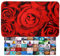 Sanilo Tapis de Salle de Bain, Grande sélection de Beaux Tapis de Douche, Absorbant, Antidérapant, Très Doux, Sèche Rapidement, Lavable (70 x 110 cm, Roses)